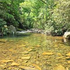 Streams like this make Fly Fishing INCREDIBLY Fun and Addicting!