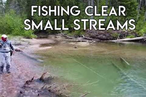 Clear Water Small Stream Fishing