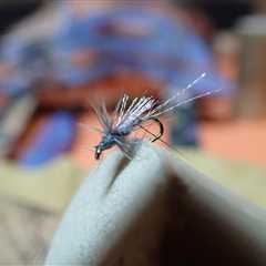 BWO Soft Hackle Emerger – 12/16/2022