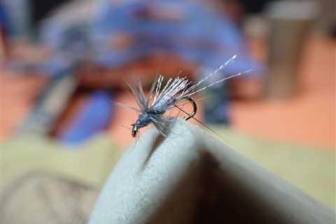 BWO Soft Hackle Emerger – 12/16/2022