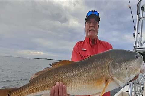 What to fish for in tampa bay?
