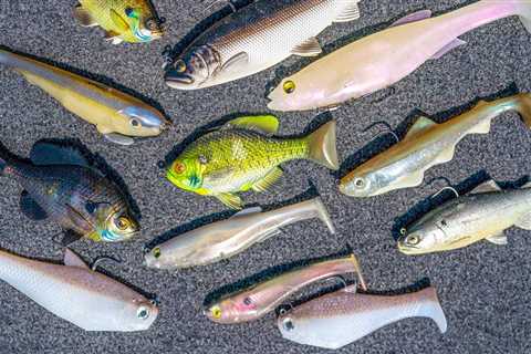 Swimbait Tips For Early Spring Bass Fishing!