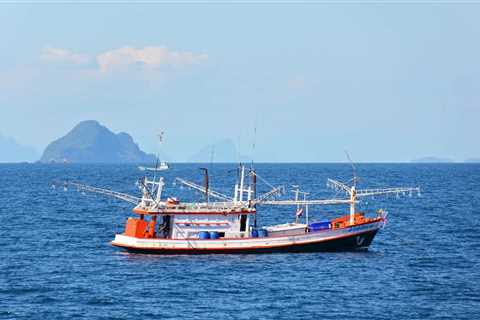 Why Sustainable Seafood Matters