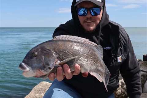 Seaworms for Spring Tautog