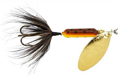 The 9 Best Trout Lures You Can Buy