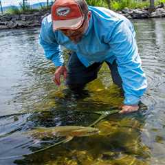 Montana Fly Fishing Trips - Montana Trout Outfitters