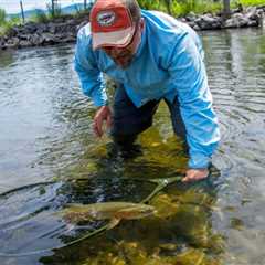 Montana Guided Fly Fishing Trips - Montana Trout Outfitters