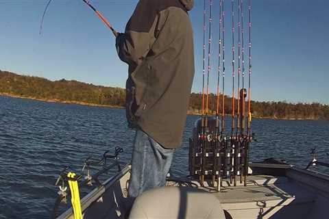 Everything You Need to Know About Fishing Line and Weights