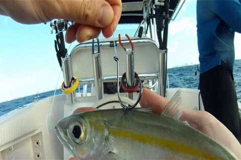 Live Bait Techniques for Offshore Fishing