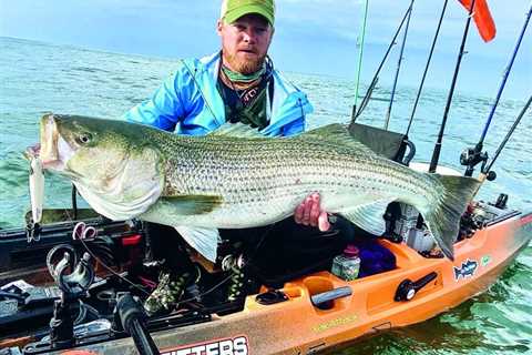 Cow Tipping: Catch Giant Striped Bass by Kayak