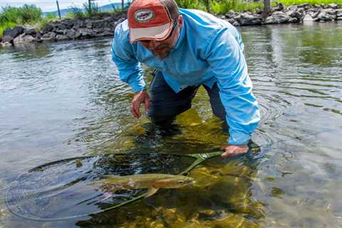 Montana Fly Fishing Trips - Montana Trout Outfitters