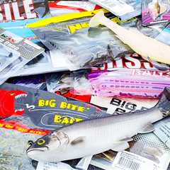 SPRING BUYER'S GUIDE: Best Soft Baits And Plastics For Bass Fishing!
