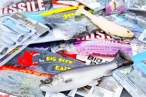 SPRING BUYER'S GUIDE: Best Soft Baits And Plastics For Bass Fishing!