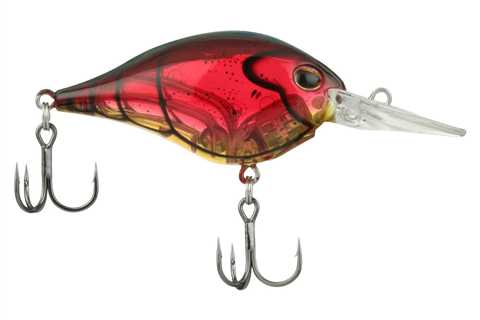 Mid-Depth Assassin – The Berkley Dime