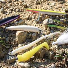 Six Essential Lures for Fall Run Surfcasting