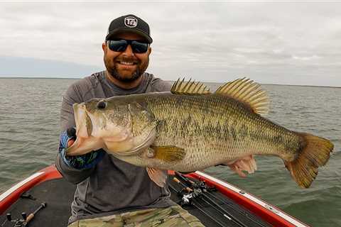 Big Worms for Summer Bass Fishing! (Texas Rig, Carolina Rig, Shaky Head)