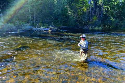 Fall Foliage and Connecticut River Trout