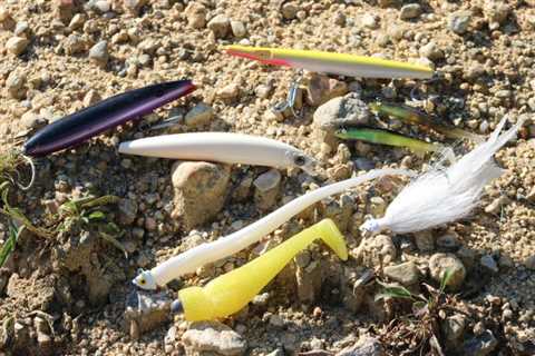 Six Essential Lures for Fall Run Surfcasting