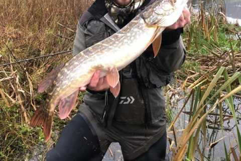 111 Pike for Whitewood Pike Angling Club at recent league outing