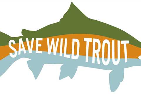 Skwala Donating 20 Percent to Save Wild Trout