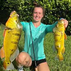 Miami Peacock Bass Fishing: An Angler’s Guide   for 2024