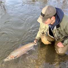 Angler Catches Massive Lake Ontario Trib Winter Steelhead