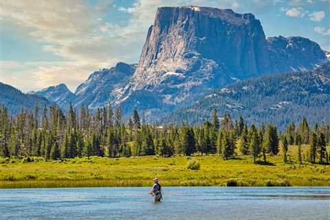 Wyoming Fishing: The Complete Guide for 2024