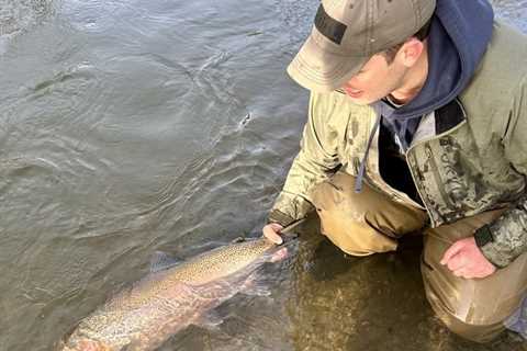 Angler Catches Massive Lake Ontario Trib Winter Steelhead