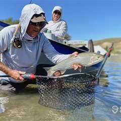 Trout Fishing: The Complete Guide for 2024