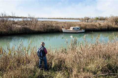 The Secrets Of Lagoon Fishing: Unveiling The Best Tactics For Success