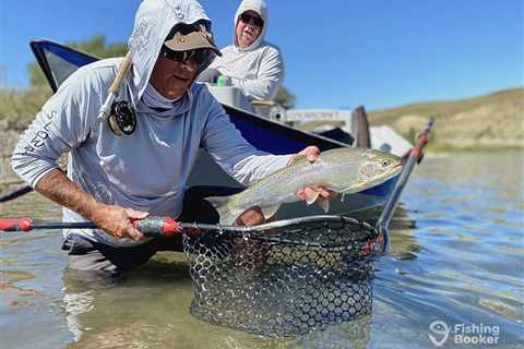 Trout Fishing: The Complete Guide for 2024