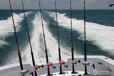 The Best Saltwater Fishing Rods: An Angler’s Guide for 2024