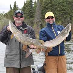 The Best Northern Pike Bait: An Angler’s Guide for 2024