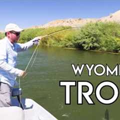Wyoming Trout | North Platte River