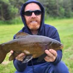 Pike a bit bite-shy, but tench on top form for Newbridge Anglers