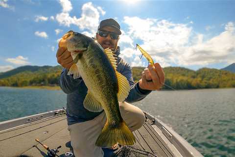 4 Baits That Catch Fish When Bass Won't Bite!