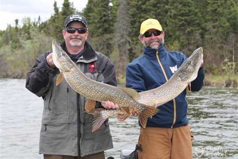 The Best Northern Pike Bait: An Angler’s Guide for 2024