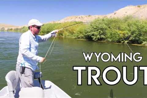 Wyoming Trout | North Platte River