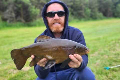 Pike a bit bite-shy, but tench on top form for Newbridge Anglers