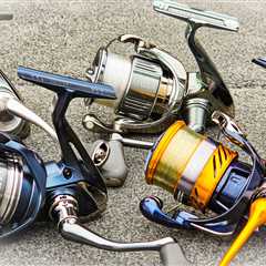 BUYER'S GUIDE: BEST SPINNING REELS (Budget To Enthusiast)