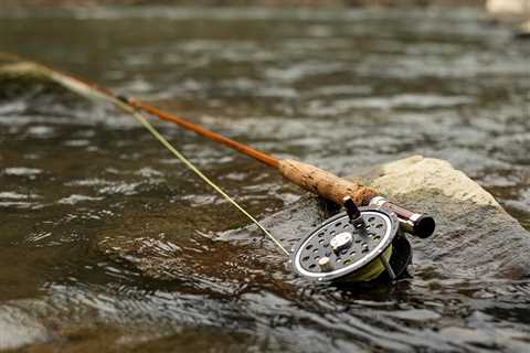 Fly Fishing Reels: A Beginner’s Guide for 2024