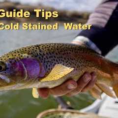 Fishing Cold Stained Water for Trout