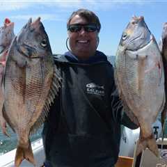 How to Fish for Porgy: The Complete Guide for 2024