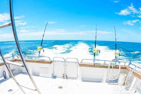 Deep Sea Fishing Rods: A Beginner’s Guide for 2024