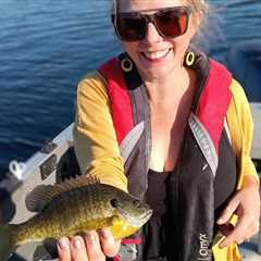 How to Go Fishing for Sunfish: The Complete Guide for 2024