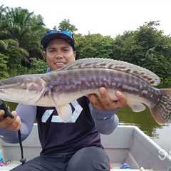 How to Go Snakehead Fishing: The Complete Guide for 2024