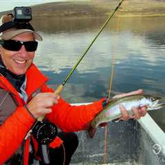 The Best Trout Fishing Lines: An Angler’s Guide