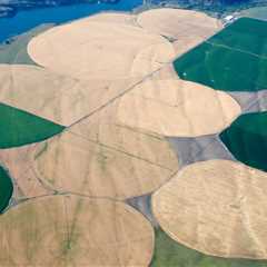 The Impact of Land Use Changes on Natural Resources in Northeast Tennessee