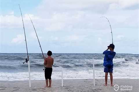 How to Go Low Tide Fishing: An Angler’s Guide for 2025