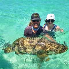 How to Get a Florida Goliath Grouper Harvest Permit for 2026
